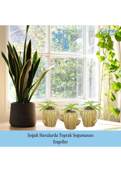 Mini Çiçek Saksı Küçük Sukulent Kaktüs Saksısı 3'lü Set Kaktüs Figür Model