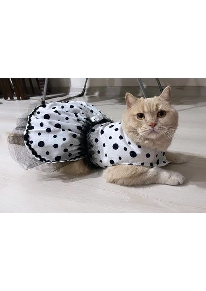 Siyah Puantiyeli Beyaz Dişi Kedi Köpek Kıyafeti Elbisesi