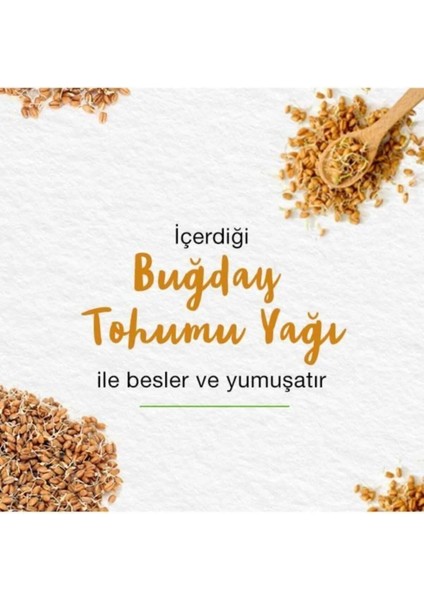 Besleyici Lip Balm - Buğday Tohum Yağı - Nemlendirici - %100 Doğal Renk Silikon İçermez 4,5 gr 3 Adet