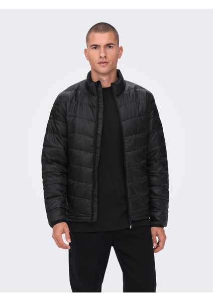 Carven Quilted Puffer Otw Noos Erkek Siyah Mont 22023051-0210