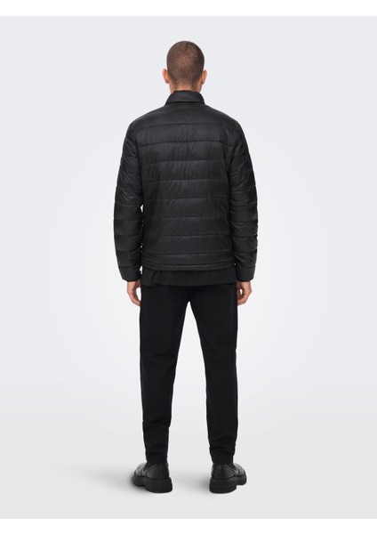 Carven Quilted Puffer Otw Noos Erkek Siyah Mont 22023051-0210