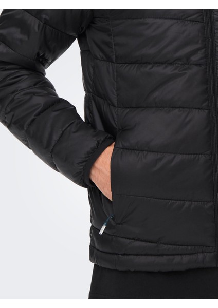 Carven Quilted Puffer Otw Noos Erkek Siyah Mont 22023051-0210