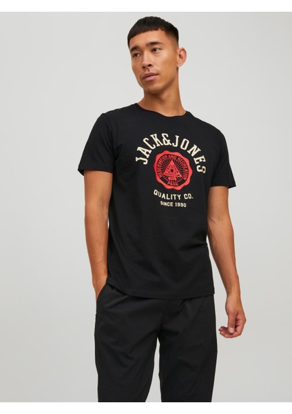 Logo Tee Ss O-Neck 2 Col Erkek Siyah Tshirt 12210819-02