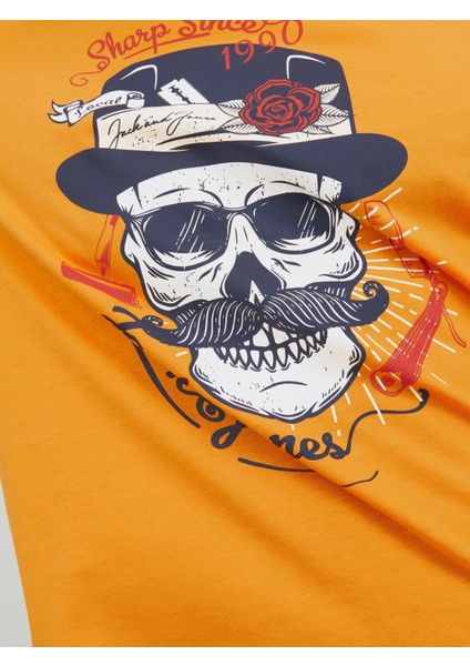 Roxbury Tee Ss Crew Neck Sn Erkek Sarı Tshirt 12227779-22 indirimleri