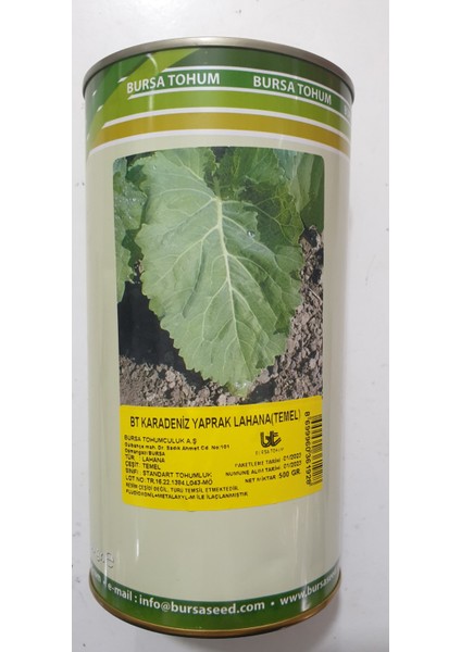 Bt Karadeniz Yaprak Lahana (Temel)Kara Lahana 500 Gram