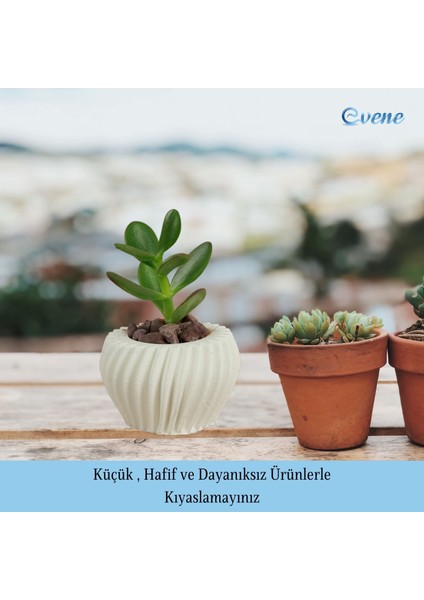 Mini Çiçek Saksı Küçük Sukulent Kaktüs Saksısı Derin Çizgili Spiral Model