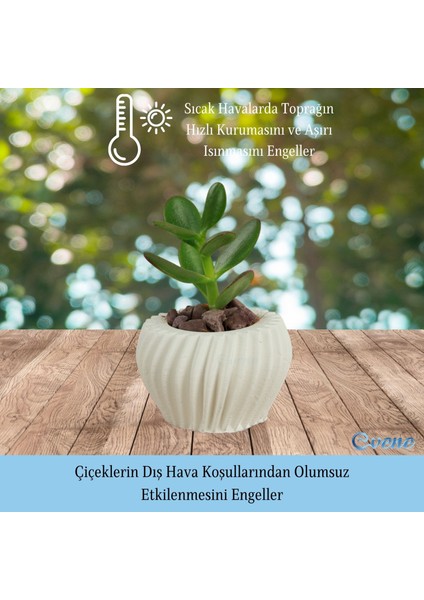 Mini Çiçek Saksı Küçük Sukulent Kaktüs Saksısı Derin Çizgili Spiral Model