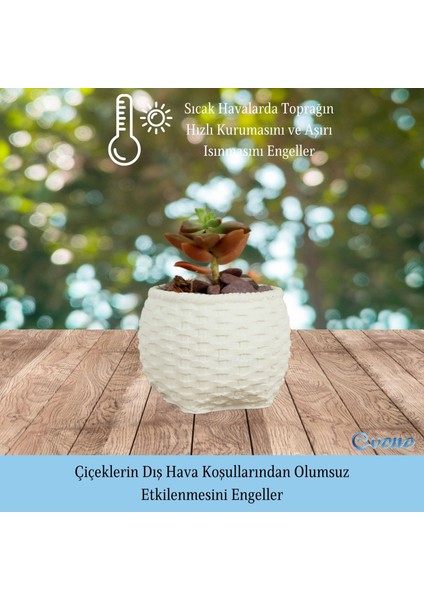 Mini Çiçek Saksı Küçük Sukulent Eskitme Kaktüs Saksısı 3'lü Set Sepet Örgü Model