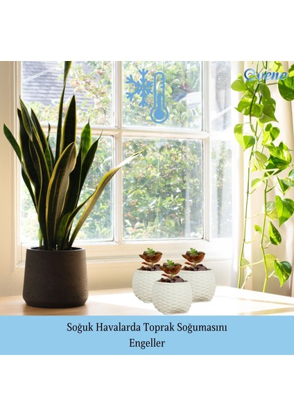 Mini Çiçek Saksı Küçük Sukulent Eskitme Kaktüs Saksısı 3'lü Set Sepet Örgü Model