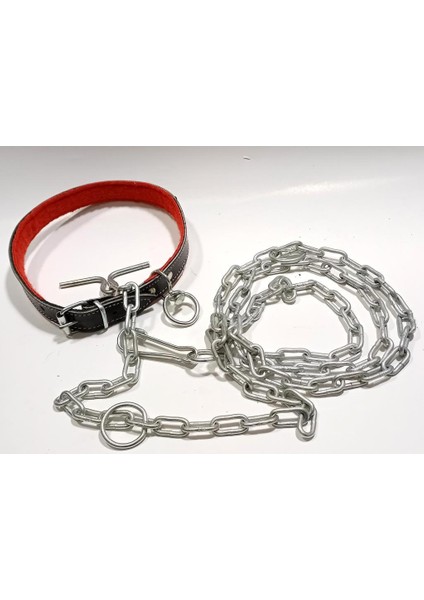 2 mt Zincir Tam Set 60CM Hakiki Deri Köpek Tasması Boyun Çapı 12-17CM Iç Yapısı Yumuşak Süper Rahat fırsatları