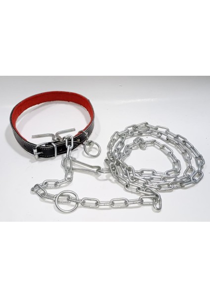 2 mt Zincir Tam Set 60CM Hakiki Deri Köpek Tasması Boyun Çapı 12-17CM Iç Yapısı Yumuşak Süper Rahat indirimleri