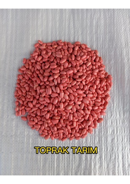 Makrogen Seed Taze Fasulye-Oturak Fasulye Tohumu-Makrogen Efsun 1 kg