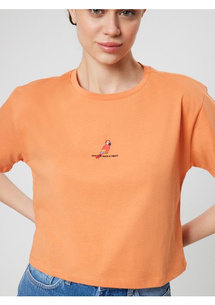 Regular Long Crop Kadın Tshirt K.Kol fırsatları