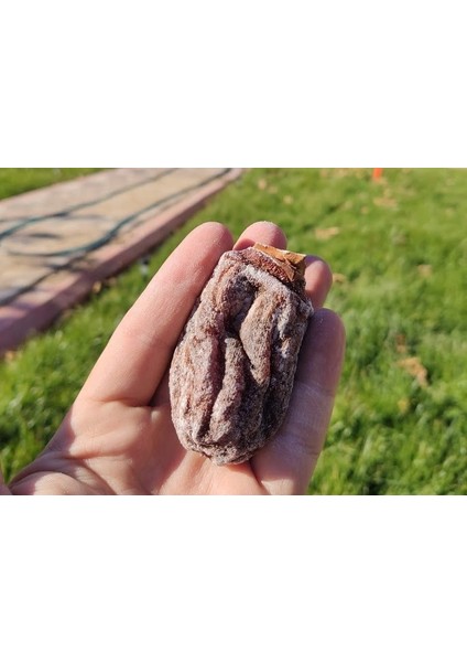 Cennet Hurması 500GR