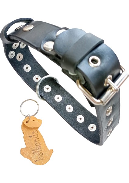 Köpek boyun tasması deri siyah zımbalı kalınlık:4mm genişlik:3cm boyun ölçüsü:27-35cm ayarlamalı dog collar T1-11S