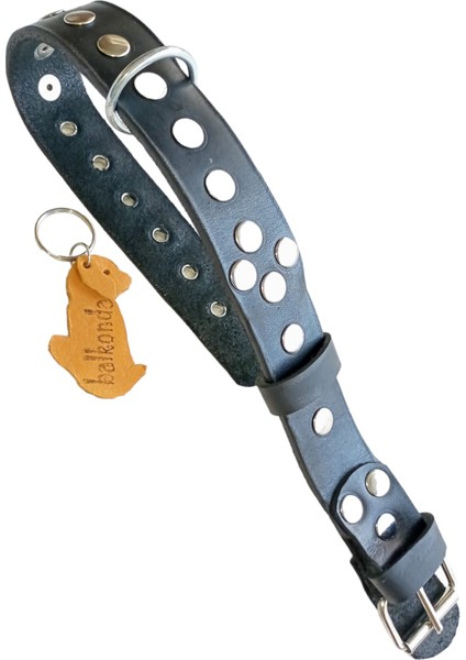 Köpek boyun tasması deri siyah zımbalı kalınlık:4mm genişlik:3cm boyun ölçüsü:27-35cm ayarlamalı dog collar T1-11S