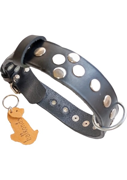 Köpek boyun tasması deri siyah zımbalı kalınlık:4mm genişlik:3cm boyun ölçüsü:27-35cm ayarlamalı dog collar T1-11S