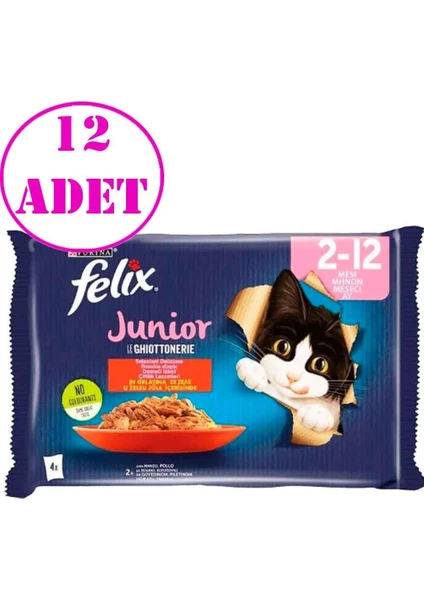 Junior Tavuklu ve Sığır Etli Yaş Kedi Maması (4X85GR) 12 Adet