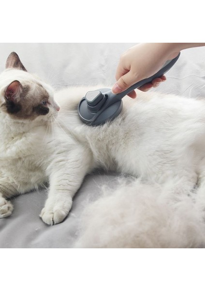 Otomatik Temizlenen Evcil Hayvan Fırçası Kedi Köpek Tarak CIN431 fırsatları