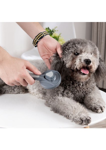 Otomatik Temizlenen Evcil Hayvan Fırçası Kedi Köpek Tarak CIN431 indirimleri