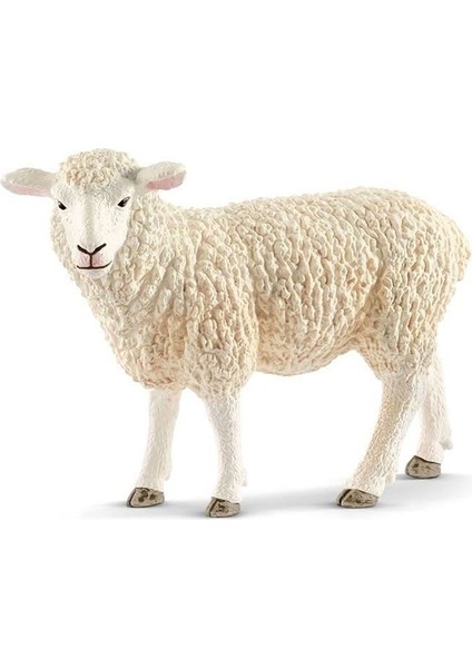 13882 Schleich - Koyun +3 Yaş