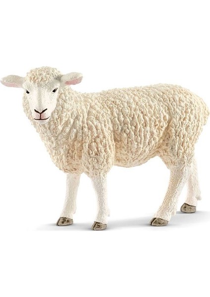 13882 Schleich - Koyun +3 Yaş