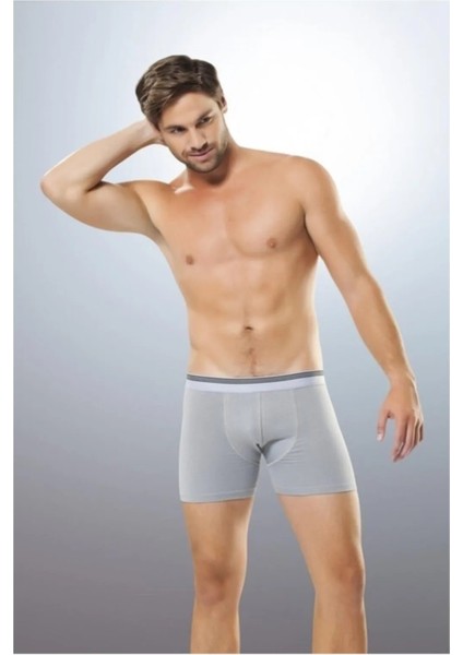 10 Adet, (Ekonomik Paket) Kemeri Çizgili Likralı Erkek Boxer %92 Pamuk, %8 Likra Gri fiyatları
