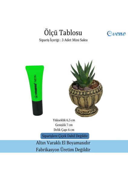 Mini Çiçek Saksı Küçük Sukulent Kaktüs Saksısı 3'lü Set Antika Vazo Model