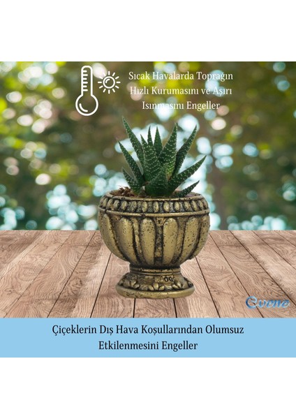 Mini Çiçek Saksı Küçük Sukulent Kaktüs Saksısı 3'lü Set Antika Vazo Model