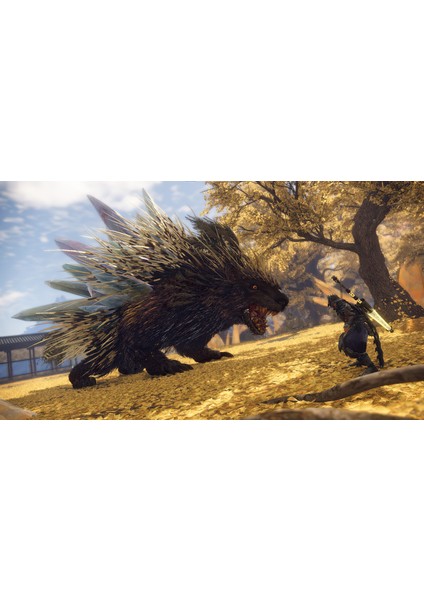 Wild Hearts Ps5 modelleri