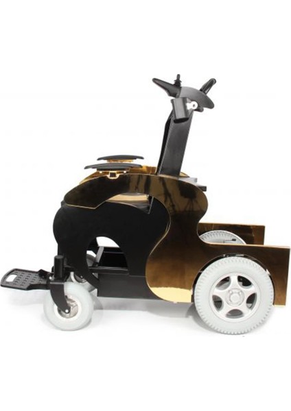 Jetline-Gold Refakatçi Sürüşlü Akülü Tekerlekli Sandalye indirimleri