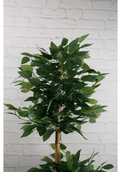 Yapay Çiçek Beton Saksıda Benjamin Ağacı Bambu Gövdeli Yoğun Dolgun Yapraklı 105 cm modelleri