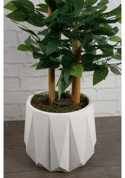 Yapay Çiçek Beton Saksıda Benjamin Ağacı Bambu Gövdeli Yoğun Dolgun Yapraklı 105 cm fırsatları