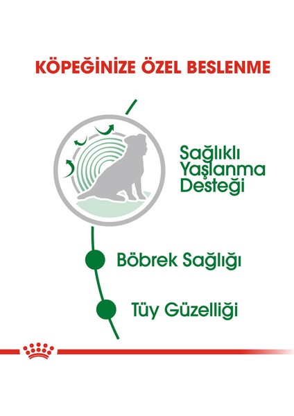 6 Adet Royal Canin Mini Ageing 85 gr
