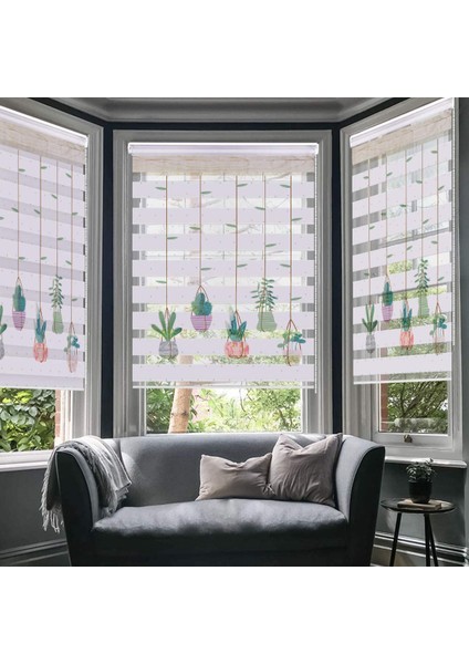 Saksıda Sarkan Kaktüsler Zebra Stor Perde - Modern Mutfak Oturma Odası - Kaktüs fiyatları
