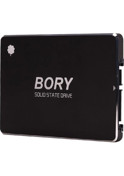 256 GB Bory Sata3 R500-C256G SSD 550/510 Mbs (3 Yıl Garantili)