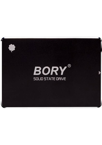 256 GB Bory Sata3 R500-C256G SSD 550/510 Mbs (3 Yıl Garantili)