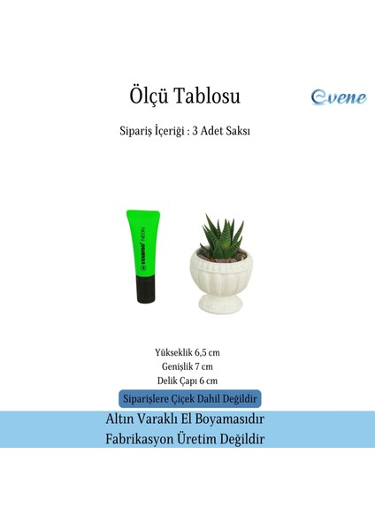 Mini Çiçek Saksı Küçük Sukulent Kaktüs Saksısı 3'lü Set Antika Vazo Model