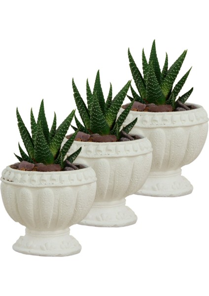 Mini Çiçek Saksı Küçük Sukulent Kaktüs Saksısı 3'lü Set Antika Vazo Model