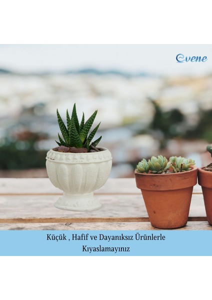 Mini Çiçek Saksı Küçük Sukulent Kaktüs Saksısı 3'lü Set Antika Vazo Model