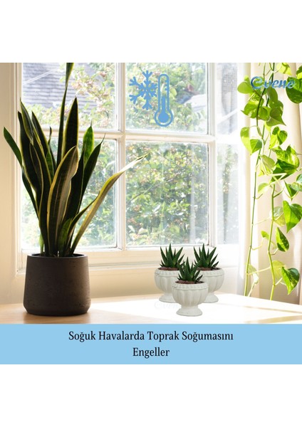 Mini Çiçek Saksı Küçük Sukulent Kaktüs Saksısı 3'lü Set Antika Vazo Model