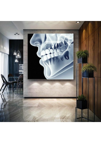 Diş Sağlığı Dişçi Diş Hekimi Çene Röntgeni Dentist Kanvas Tablo