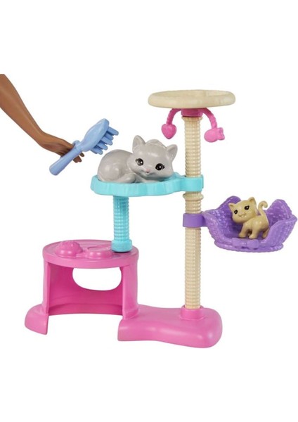 HHB70 Barbie ve Yavru Kedileri Oyun Seti