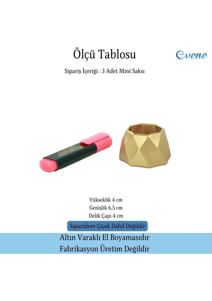 Mini Çiçek Saksı Küçük Sukulent Kaktüs Saksısı 3'lü Set Mini Poly 1 Model