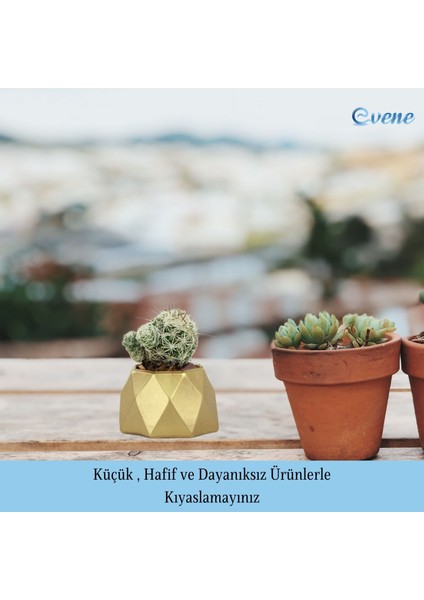 Mini Çiçek Saksı Küçük Sukulent Kaktüs Saksısı 3'lü Set Mini Poly 1 Model