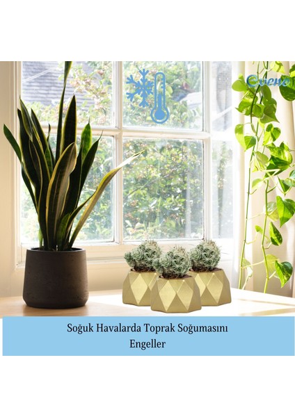 Mini Çiçek Saksı Küçük Sukulent Kaktüs Saksısı 3'lü Set Mini Poly 1 Model