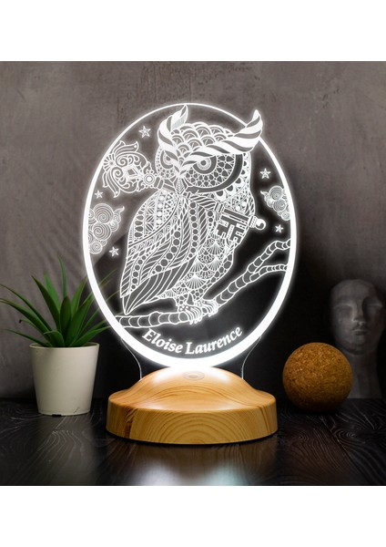 Baykuş Kişiye Özel LED Lamba, Baykuş Tasarımlı 3D Gece Lambası , Baykuş Temalı Dekoratif Lamba