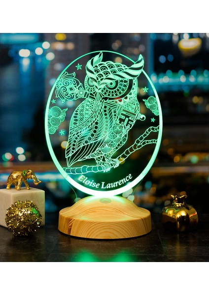 Baykuş Kişiye Özel LED Lamba, Baykuş Tasarımlı 3D Gece Lambası , Baykuş Temalı Dekoratif Lamba
