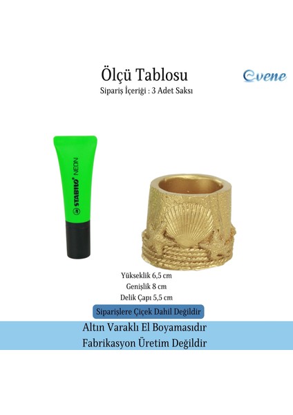 Mini Çiçek Saksı Küçük Sukulent Kaktüs Saksısı 3'lü Set Deniz Yıldızlı Kabuklu Model
