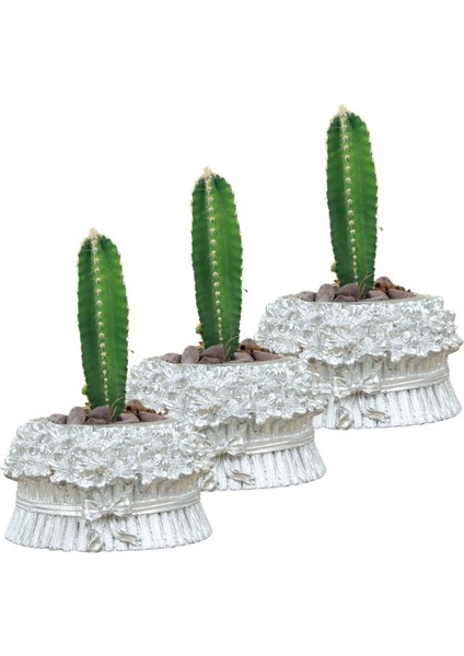 Mini Çiçek Saksı Küçük Sukulent Kaktüs Saksısı 3'lü Set Çiçekli Fiyonklu Model
